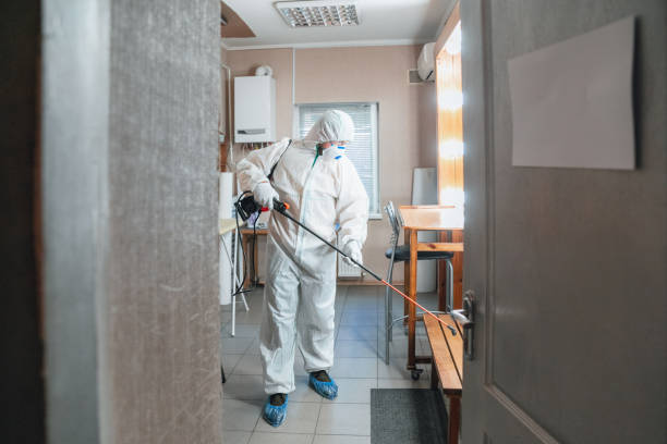 Best Commercial Mold Inspection  in Granite Hills, CA